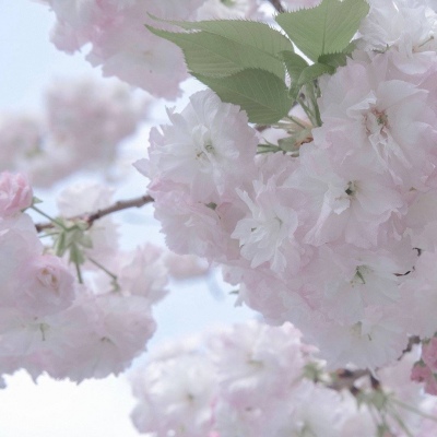 玉田福瑞交流群